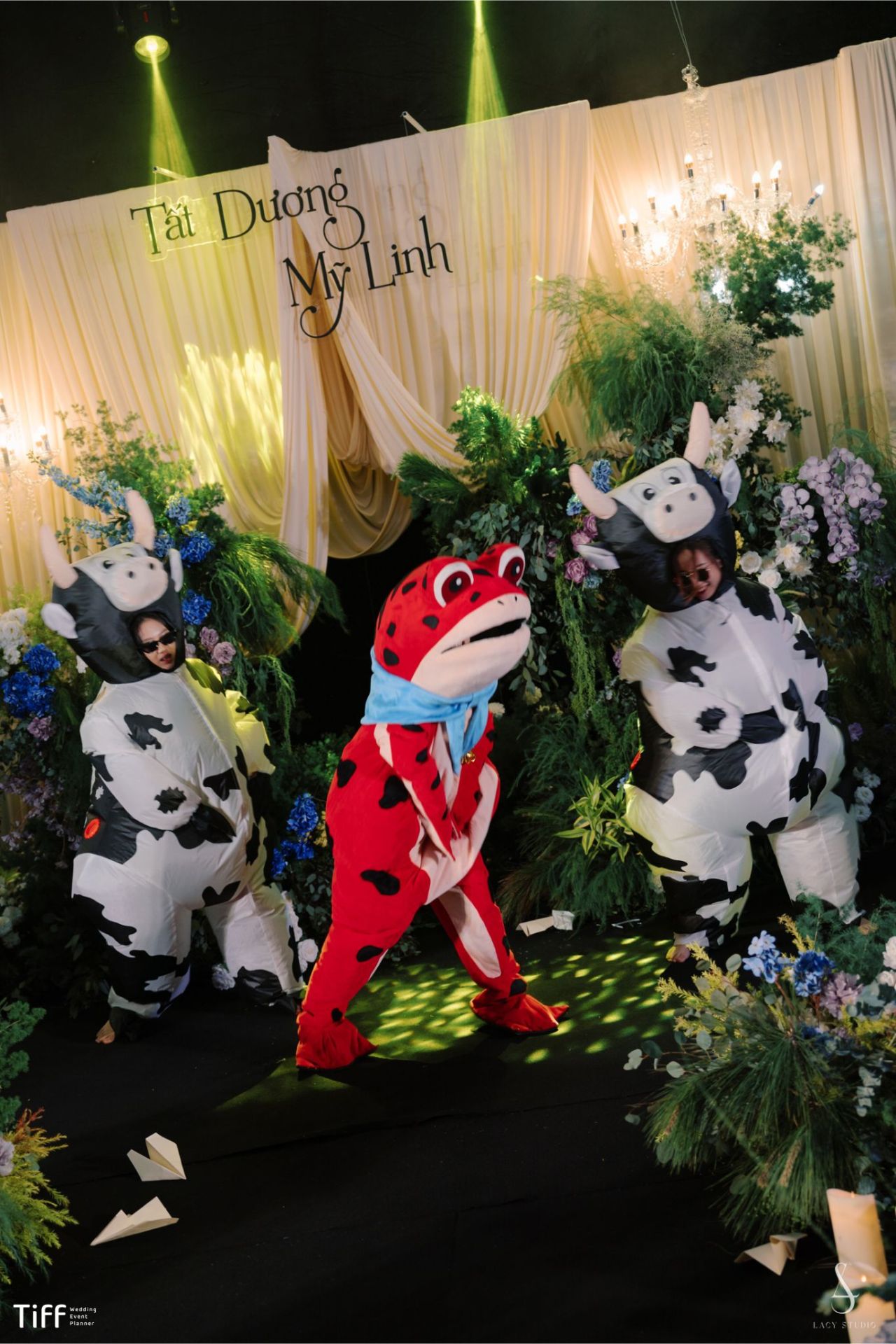 Dương & Linh - hình ảnh dự án 12