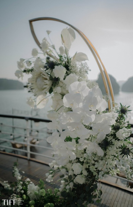 Bosco & Ezra - hình ảnh dự án 5