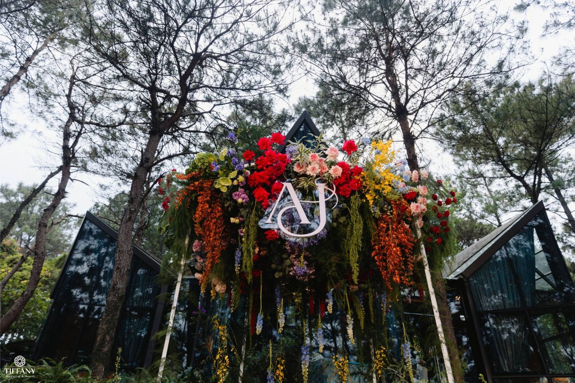 Alyosha & Jilson - hình ảnh dự án 1